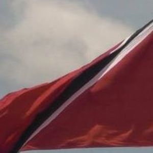 Meet your Posher, Sherwin